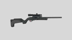 Ruger 10/22 Takedown with Magpul X-22 Backpacker Stock